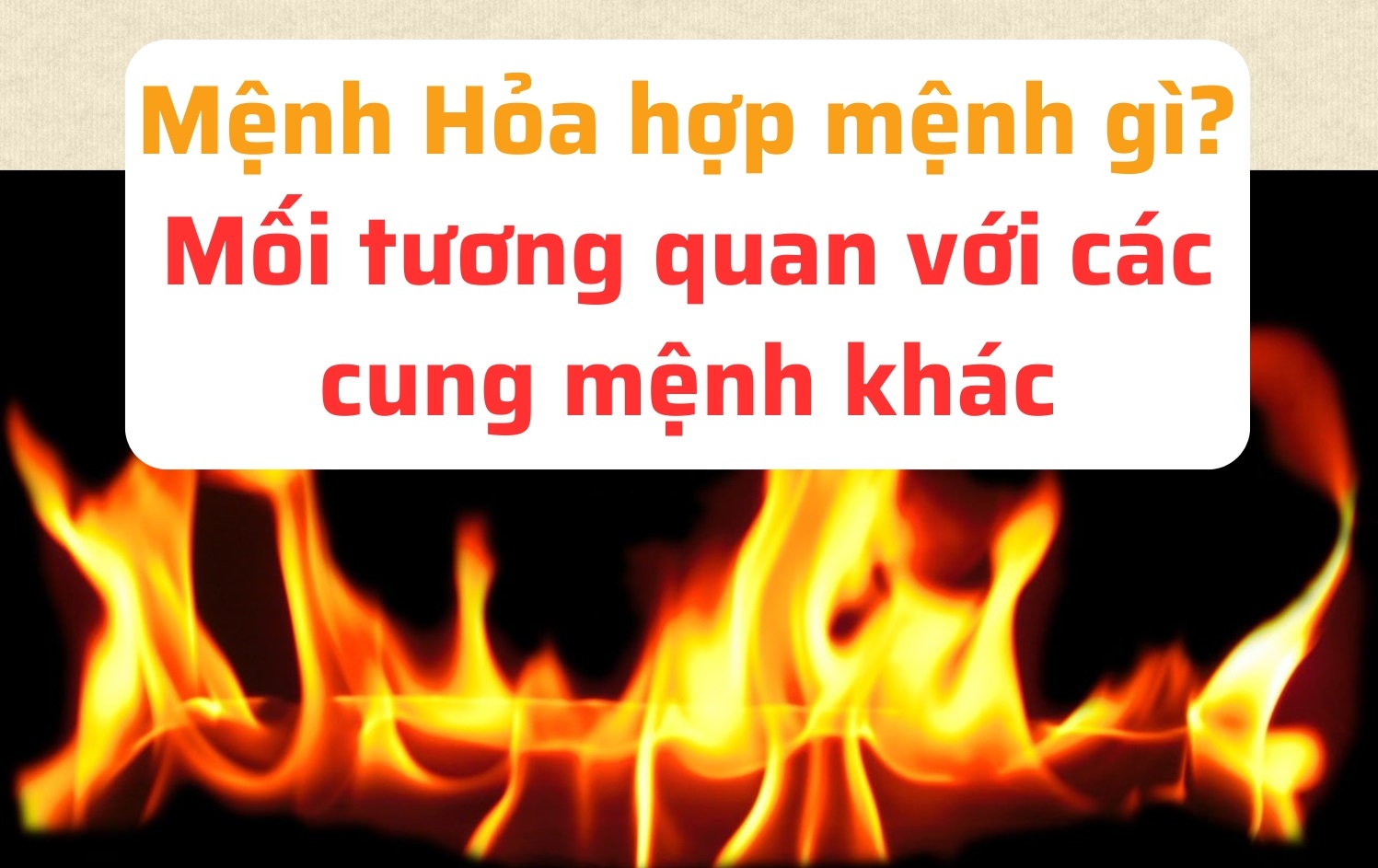 menh-hoa-hop-voi-menh-nao