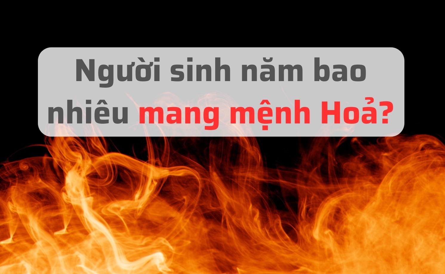 nguoi-menh-hoa-sinh-nam-nao