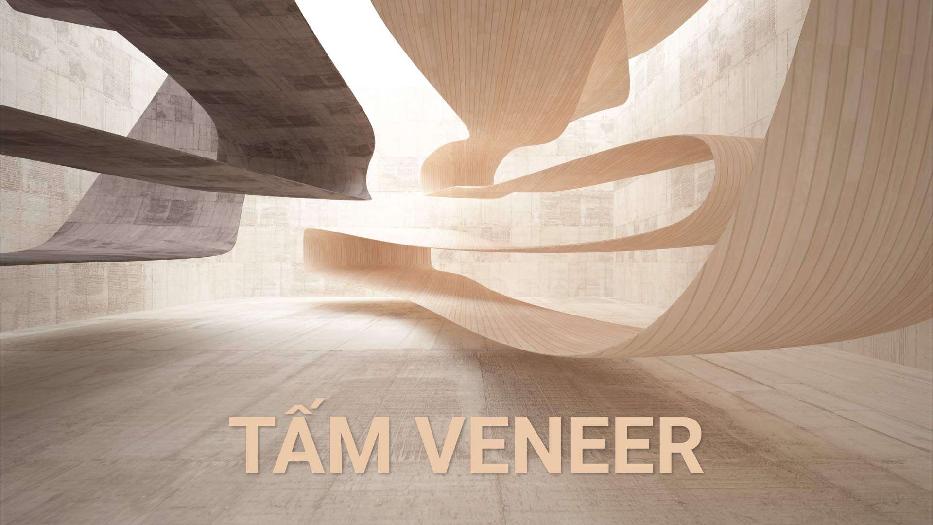 tam-veneer